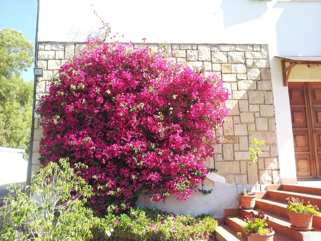 Bed and Breakfast Al Sole Di Pula Esterno foto