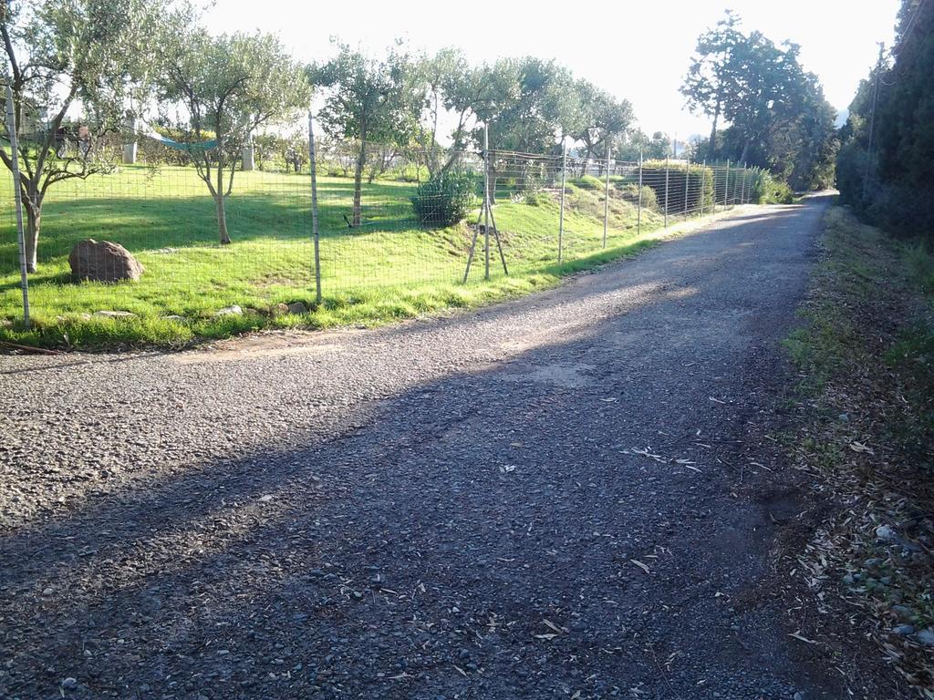 Bed and Breakfast Al Sole Di Pula Esterno foto